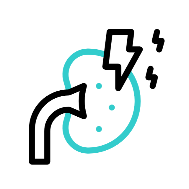 أمراض الكلى والمسالك البولية / urology